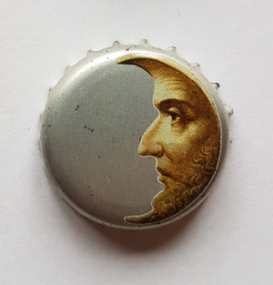 Straffe Hendrik Wild, Brasserie De Halve Maan